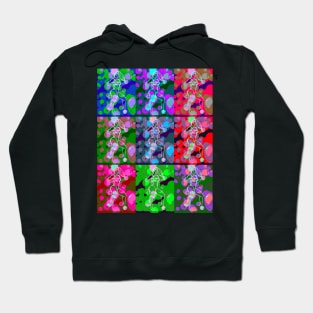 Collage Fitness Hoodie